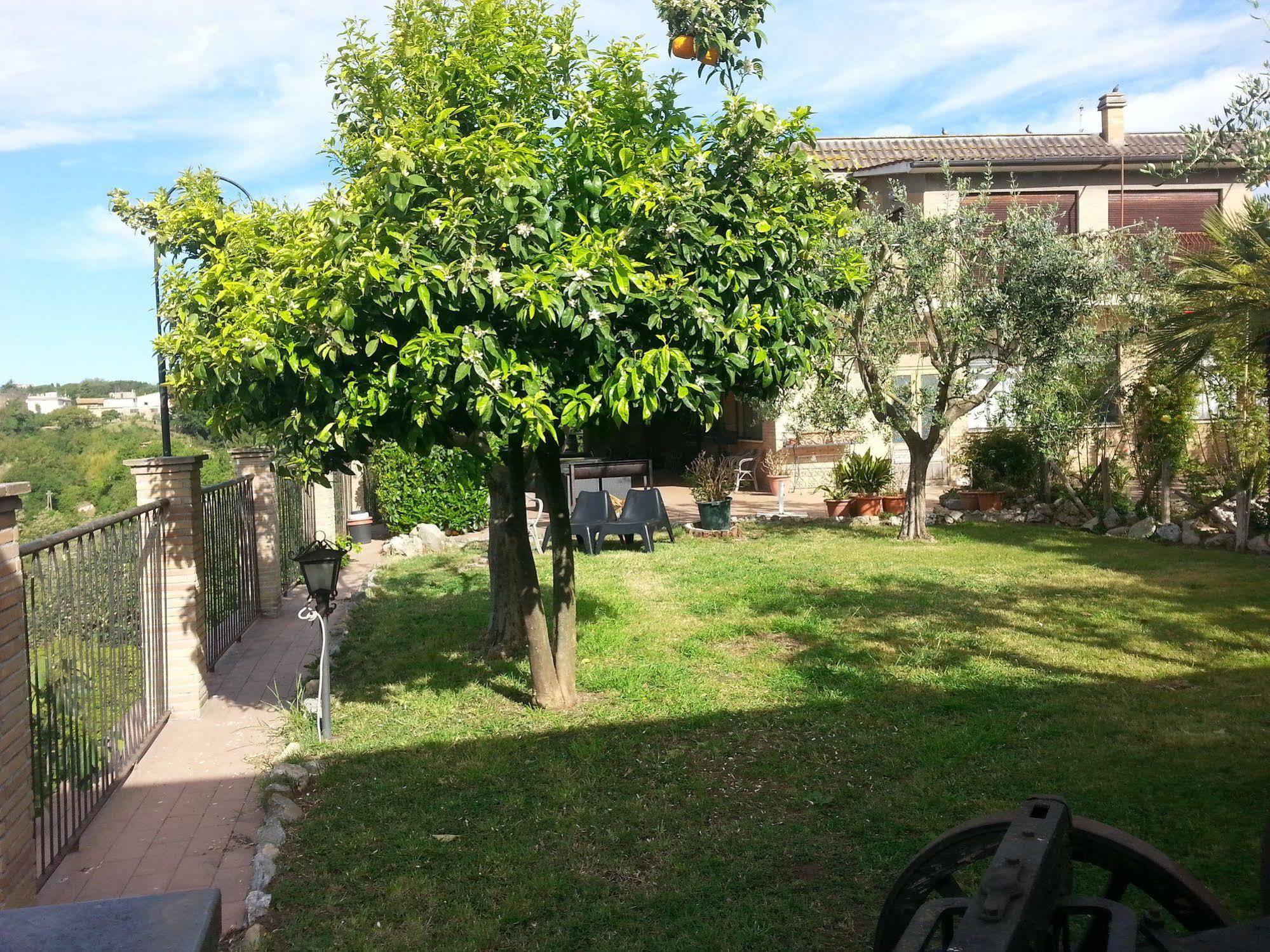 Hotel Tempio Di Apollo Rome Bagian luar foto
